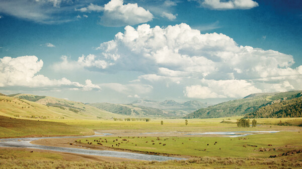 full cropped - yellowstone miles glenn