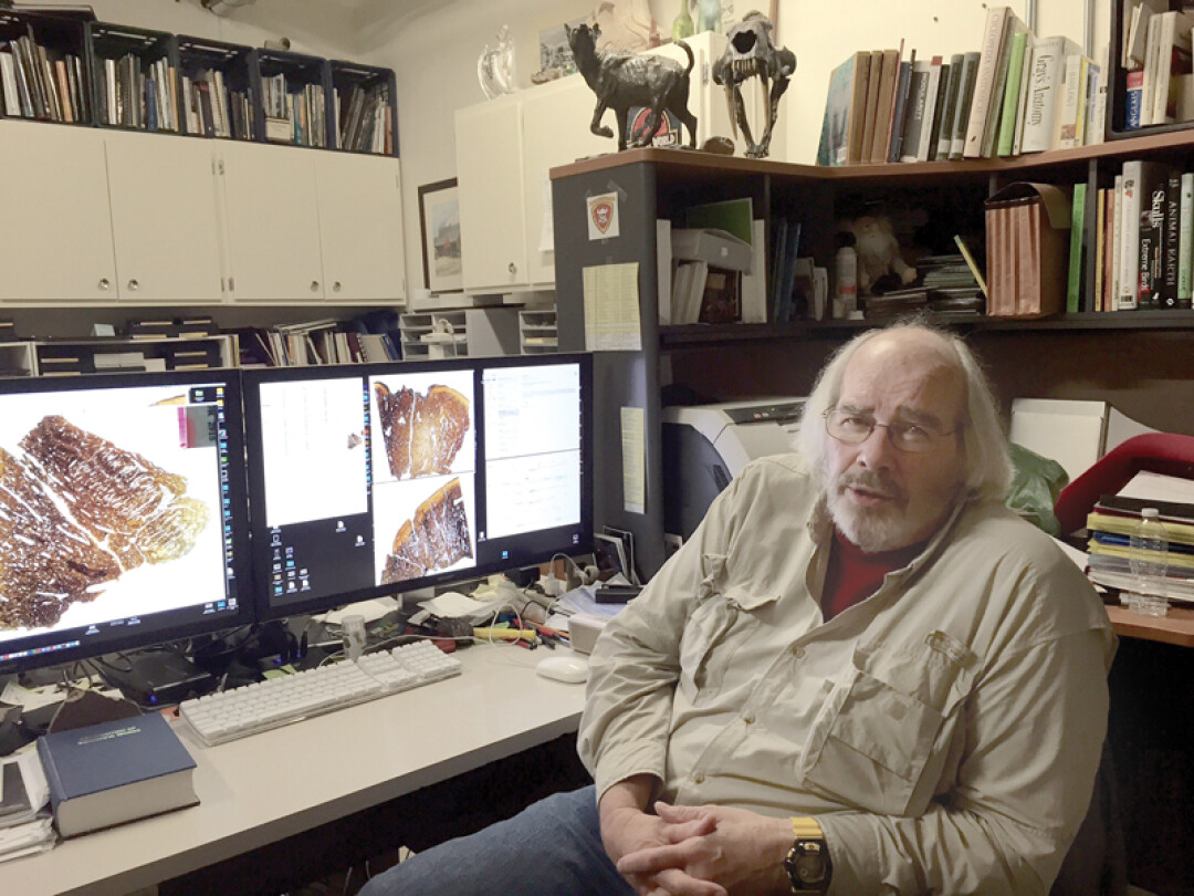 full - jack horner