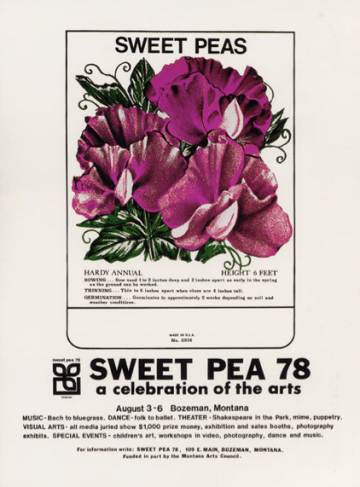 Decorative purple sweet pea design chamber pot planter